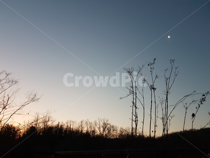 sky,하늘,블루,빛,night,야경,밤,풍경,nightscape,night,landscape,silhouette,실루엣,nature,자연,outdoors,옥외