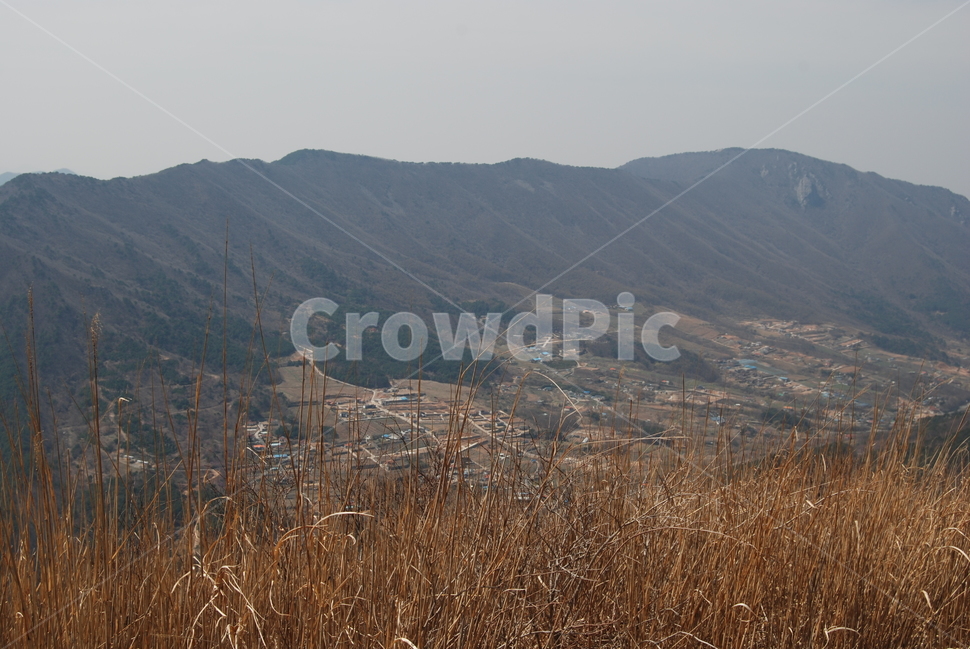 고헌산,외향재,봄,꿀벌,등산로,능선,치유,여행,돌,산행,힐링,자연,동행,등산,계절,한국,한국명산,한국등산,풍경,나무,하늘,바람,땅,자연,풍경,nature,landscape,한국자연풍경,한국자연경관,korea nature landscape,plant,식물,grass,잔디,outdoors,옥외