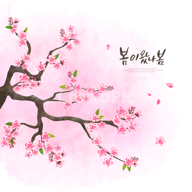 꽃,감성,봄,캘리,캘리그라피,손글씨,펜글씨,수채화,프레임,봄,계절,spring,season,식물,자연,plants,nature,꽃,flower,나무,trees,wood,그래픽,일러스트레이션,graphic,illustration,캘리그라피,손글씨,calligraphy,plant,blossom