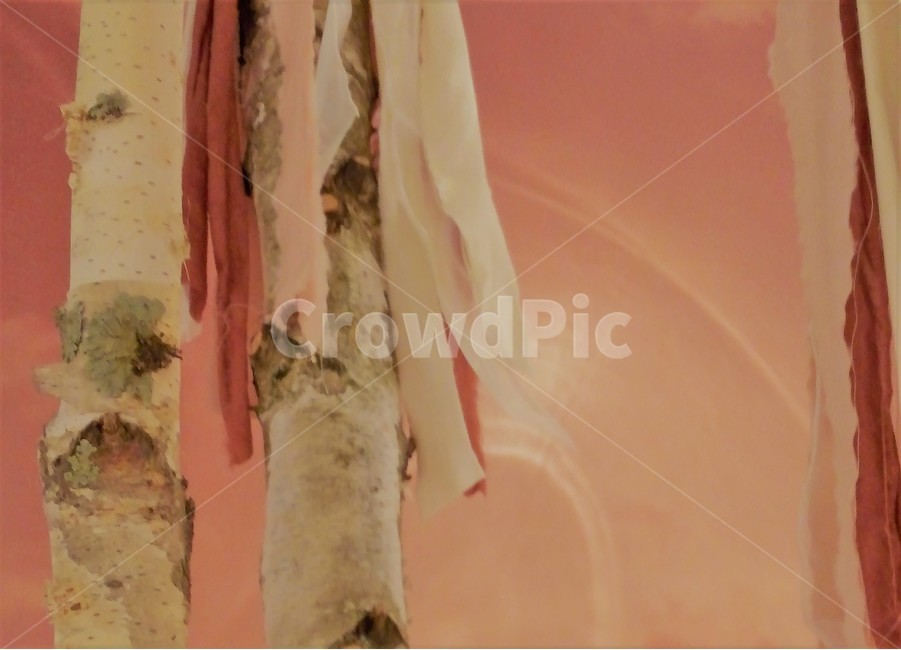나무,기둥,천,스카프,천조각,옷,옷감,tree,목재,그루,원단,머플러,scarf,목도리,wooden,wood
