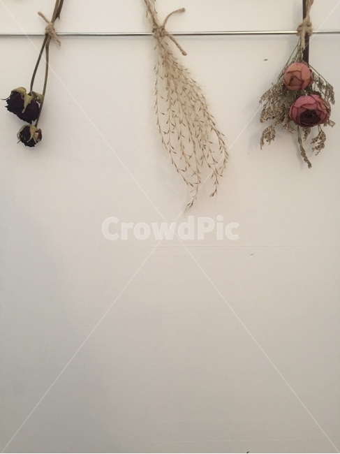 꽃,안개,드라이플라워,감성,인테리어,분위기,말린꽃,flowers,Emotional,dryflowers,Fogflowers,sensibility,crisis,driedflowers