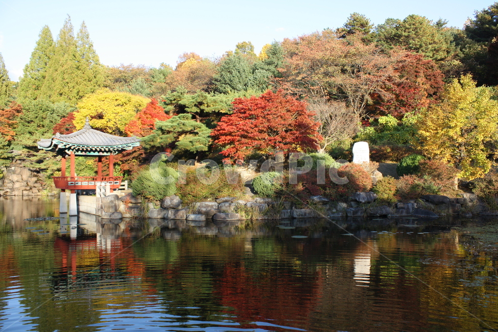 호수,가을,반사,정자,옛날,단풍,가을,계절,fall,autumn,season,한국전통,한국문화,korean traditional,korean culture,건축물,건물외관,exterior,building,structure,architecture,construction,water,물,outdoors,옥외,nature,자연