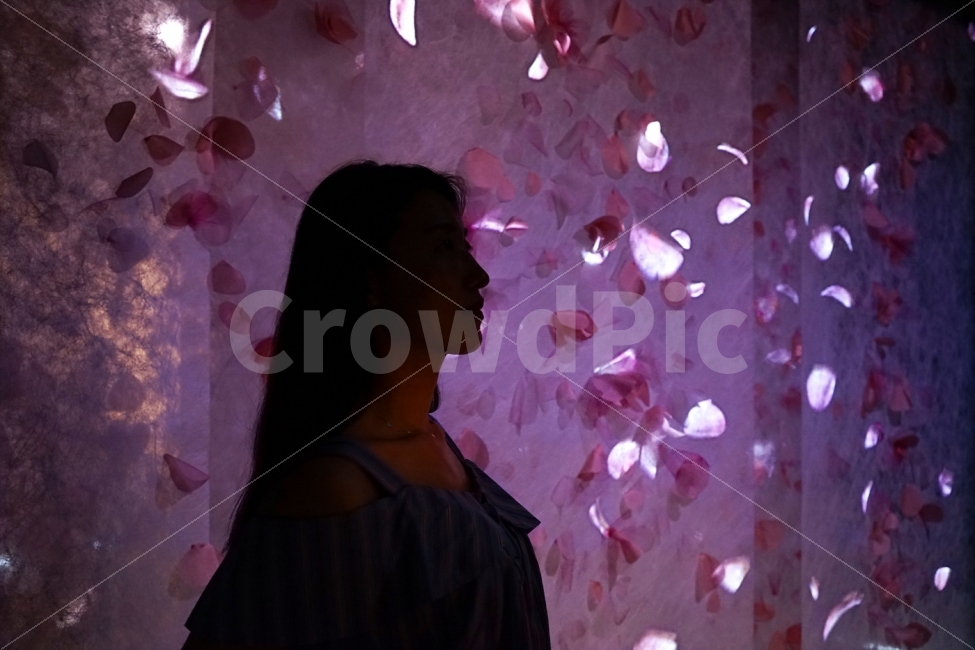 실루엣,그림자,조명,인물,여자,사람,인물,인간,human,person,여성,여자,woman,female,lady,인물실루엣,사람실루엣,character silhouette,human silhouette,감성,sensible,feeling,색깔,색상,색채,색감,color sense,color sensitivity,feeling of color,연출,컨셉,콘셉,direction,concept,plant,식물,blossom,꽃,flower,petal,꽃잎