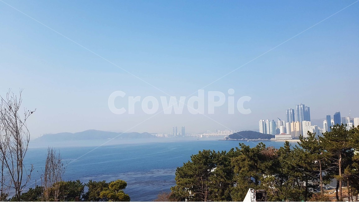 바다,바닷가,파도,해안가,수평선,자연,풍경,절경,해안도로,하늘,절벽,해안절벽,나무,윤슬,물거품,부산,해파랑길,겨울바다,파란색,바위,달맞이길,달맞이고개,문텐로드,도시,풍경,city,landscape,한국도시풍경,한국도시경관,korea cityscape,nature,outdoors,옥외,scenery,경치