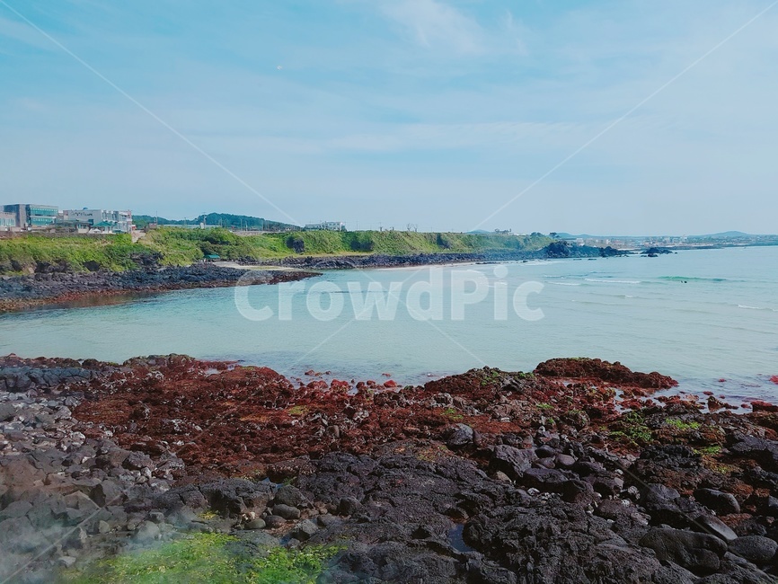 제주도,바다,풍경,하늘,고화질,초고화질,제주도풍경,현무암,돌,이끼,자연,풍경,nature,landscape,promontory,곶