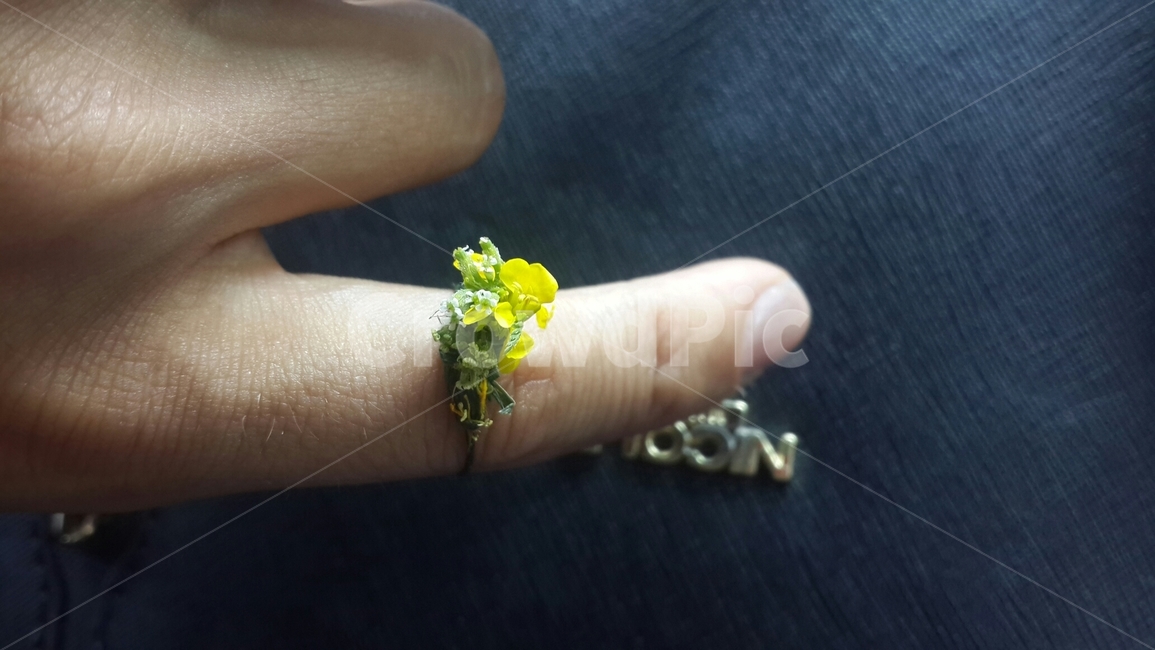 꽃반지,노란꽃,flowerring,yellowflower,smallflower