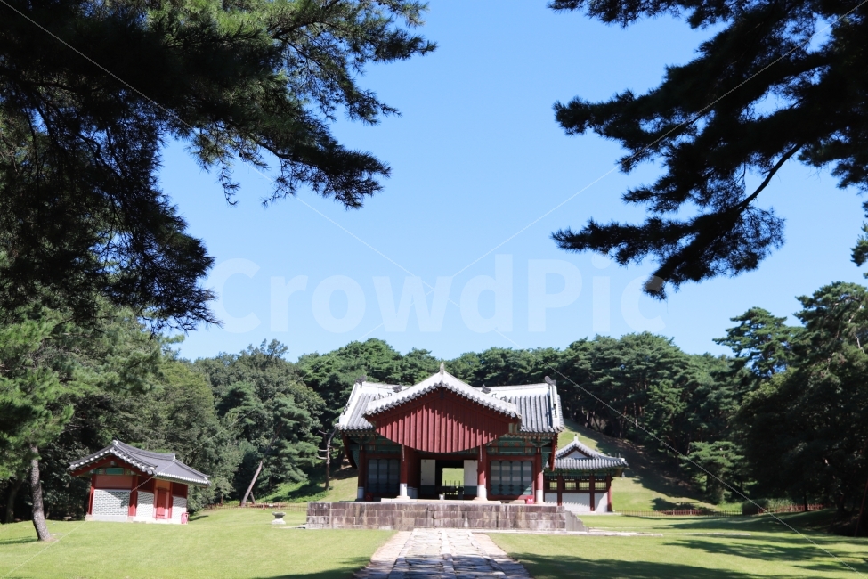동구릉,건원릉,이성계,파란하늘,세계문화유산,문화유산,역사건물,왕의제사,왕의길,랜드마크,landmark,tourist attraction,한국전통,한국문화,korean traditional,korean culture