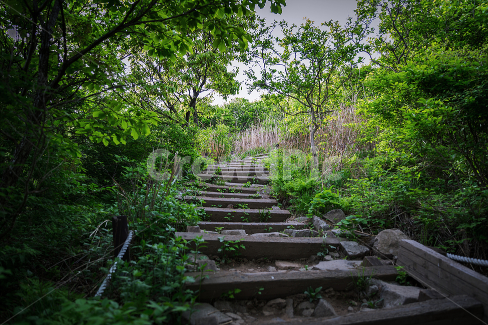 등산,산길,산책,숲속,숲길,산책로,자연,풍경,nature,landscape,outdoors,옥외,garden,정원,arbour,정자,flagstone,판석