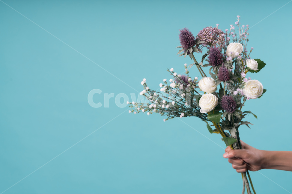 흰색,자연,녹색,장식,봄,식물,잎,디자인,꽃다발,결혼,계절,여름,야생화,줄기,신선하다,아름답다,향기,꽃,안개꽃,만개,나뭇잎,생명,부케,고백,사랑,선물,프로포즈,bouquetflowerbouquetlove,marriage,seasonal,summer,wildflower,stem,fresh,fragrance,petal,bloom,leaf,flower,life,bouquet,꽃,flower,사람,인물,인간,human,person,신체일부,몸,body