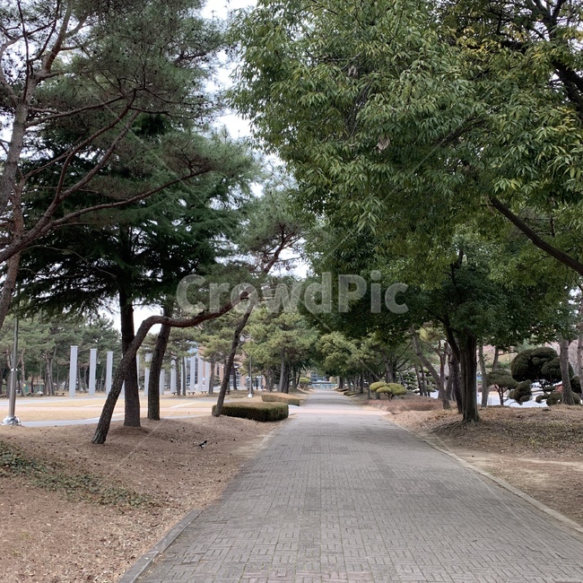 나무,거리,자연,평화,감성,자연,풍경,nature,landscape,tree,plant,식물,outdoors,옥외,path,통로