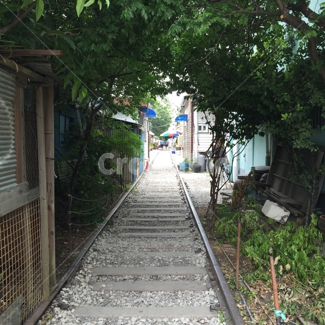 철길,나무,군산,풍경,군산철길