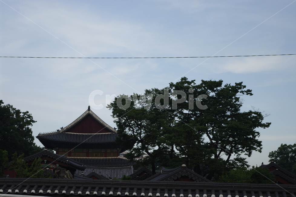 경복궁,고궁,건축,전통건축,traditional,전통,기와지붕,담장,하늘,나무,한국전통,한국문화,korean traditional,korean culture