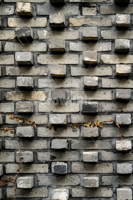 brick,벽돌,wall,벽,패턴,담,텍스처,질감,패턴,texture,pattern