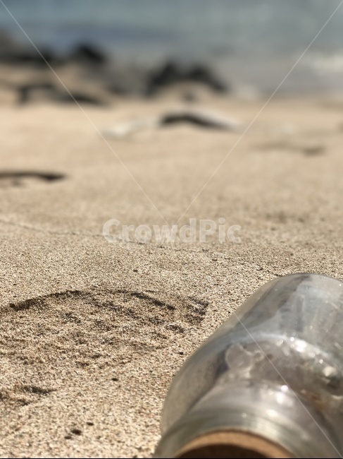 제주,바다,이별,파도,눈물,해변,바다,beach,sea