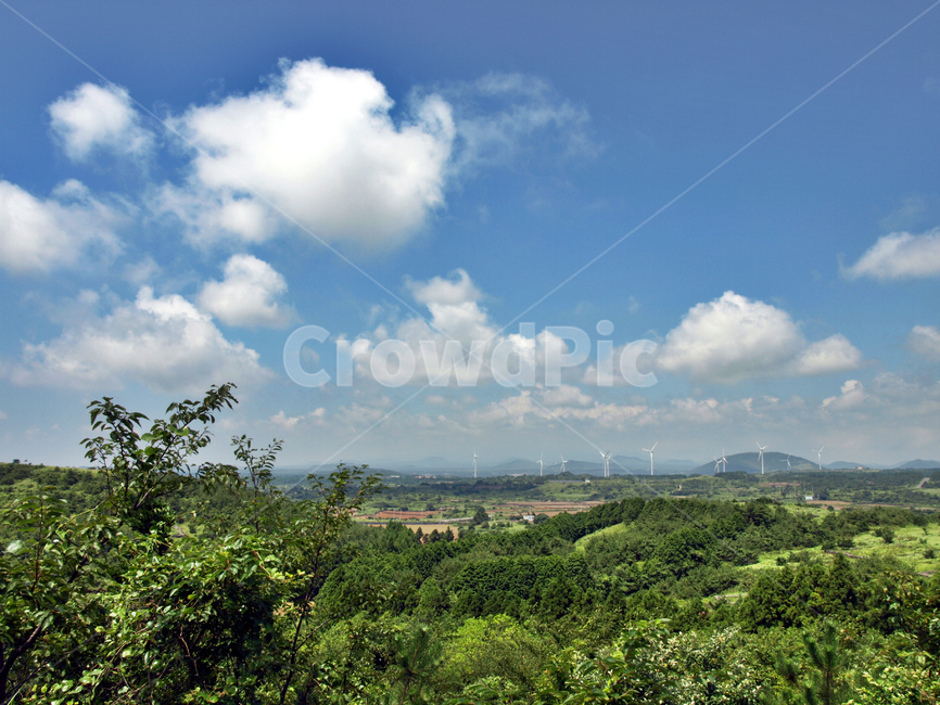 통오름,올레3코스,올레,제주,서귀포,푸른하늘,흰구름,자연,자연,풍경,nature,landscape,outdoors,옥외