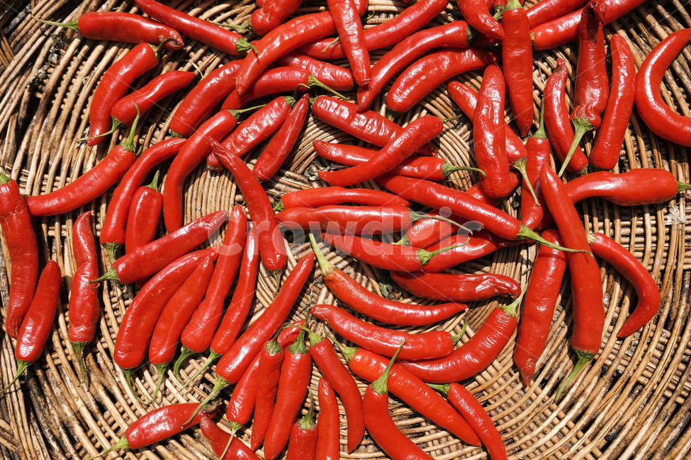 고추,식재료,음식,요리,food,광주리,basket,빨간고추,hotpepper,음식,식재료,요리,food,cook,meal,dishes,food reserves
