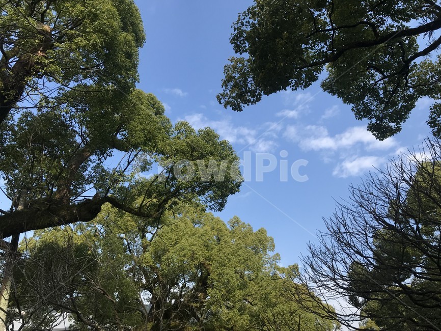 다자이후,후쿠오카,후쿠오카근교,하늘,맑은날,일본