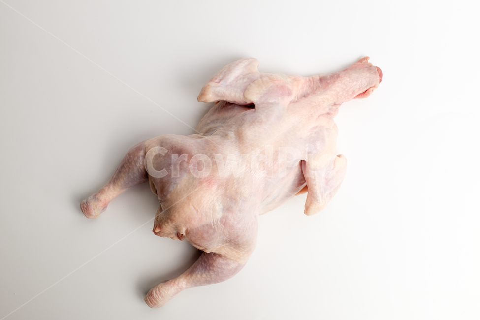 chicken breast,chicken,ingredient,raw,raw chicken,white meat,delicious,food,meal,Chicken leg meat,meat,Food Ingredients,ingredients,chicken neck,cooking,fresh,trimmed,chicken leg,chicken wings
