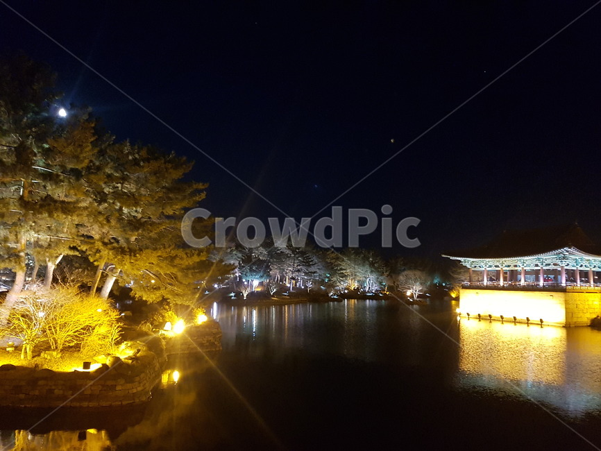 경주,동궁과월지,안압지,야경,전통,tradition,gyeongju,건축물,building,korea,신라