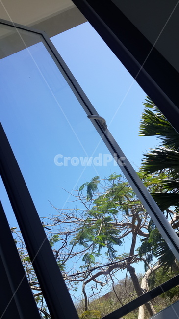 인도네시아,발리,하늘,파란하늘,푸른하늘,indonesia,blue,sky,bali,bluesky,창밖,창밖풍경,창문,window