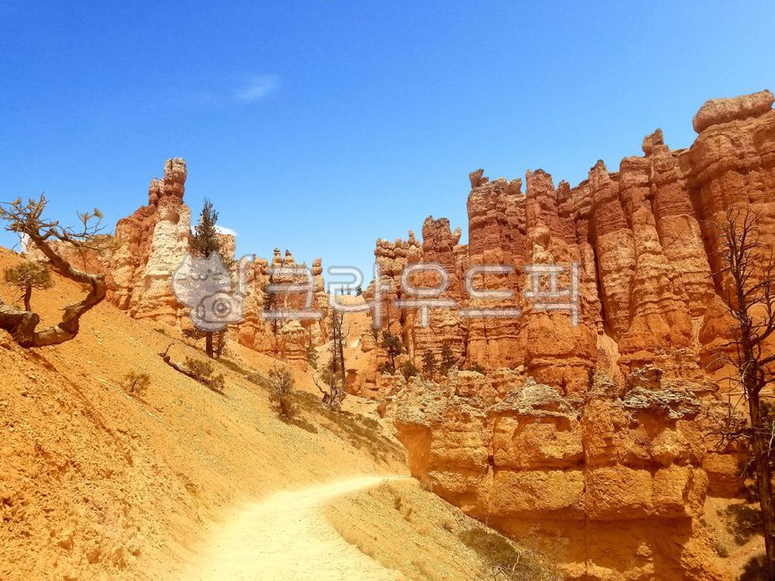 A national park,Overseas,scenery,nationalpark,Utah,foreign country,Foreign natural scenery,america,Overseas natural scenery,larynx,mountain,spire,sight,Bryce Point,brycepoint,USA,nature,Bryce Canyon National Park,utha,brycecanyon,Bryce Canyon,outdoors,hoo
