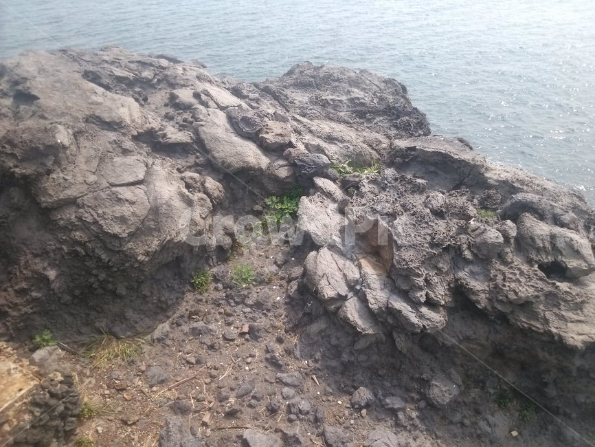 제주도,주상절리,바위,바다,에메랄드