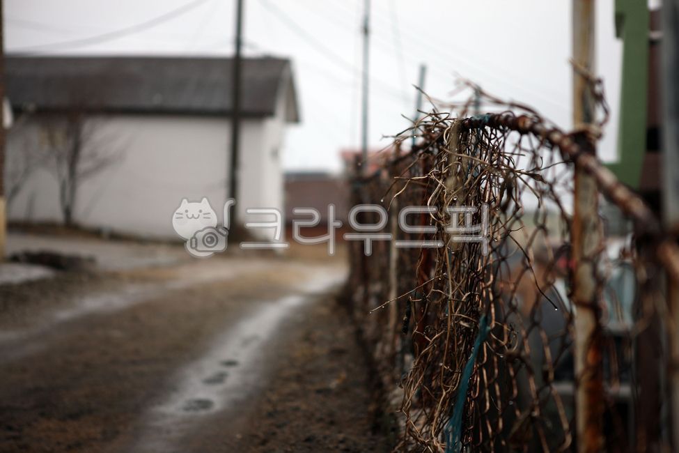 vines,fences,old,cloudy,alleyways,roads,steelwalls