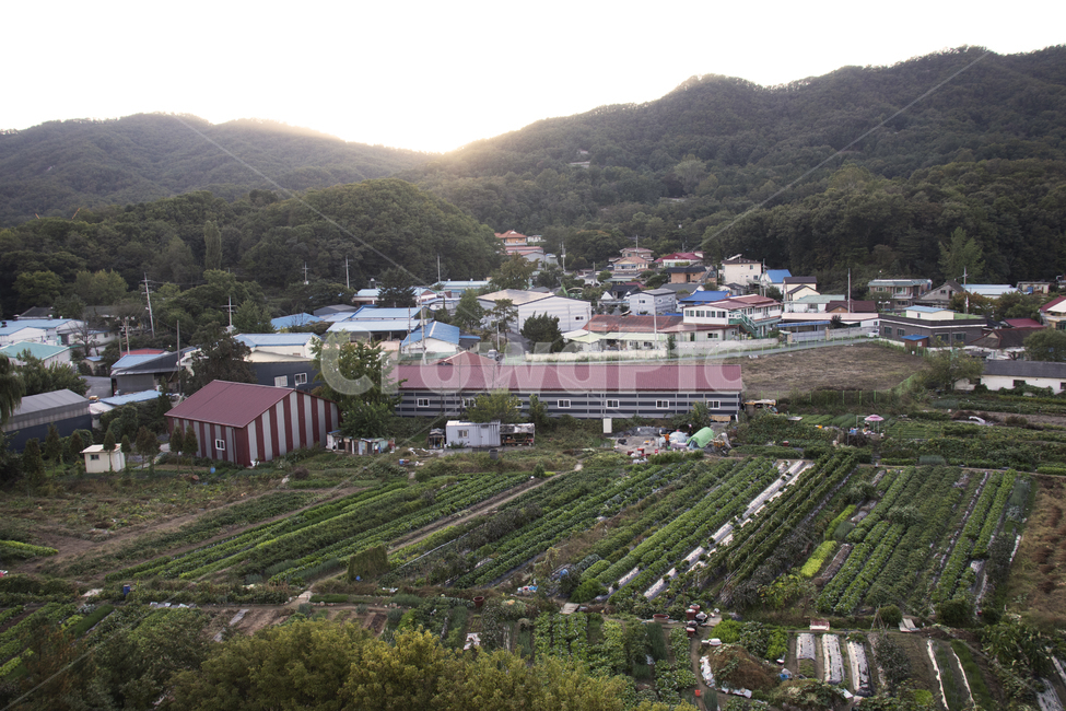 nature,자연,outdoors,옥외,scenery,풍경,landscape,경치,urban,어반,building,건물,neighborhood,이웃,suburb,근교,조감도,aerialview,시골풍경,시골집,시골밭,선셋,가을하늘,하늘,산,선라이즈,해,노을,노을하늘,가을노을,저녁,시골,마을,풍경,landscape,country,rural,town