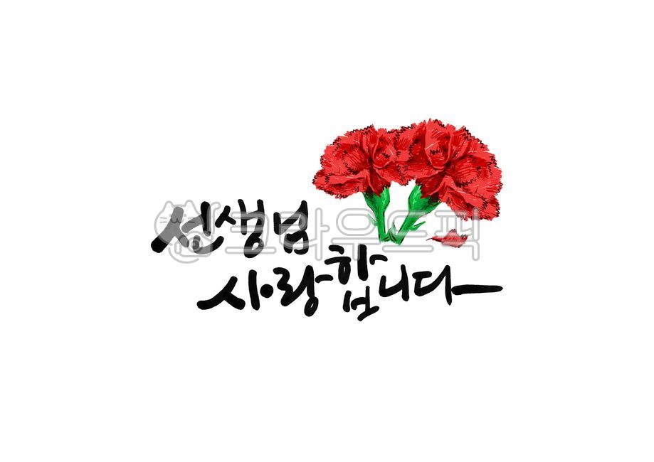 love,Teachers day,family month,green,carnation,flower,Red,Teachers Grace,petal,teacher,i love you,flower illustration,plant,I love you teacher,Carnation illustration