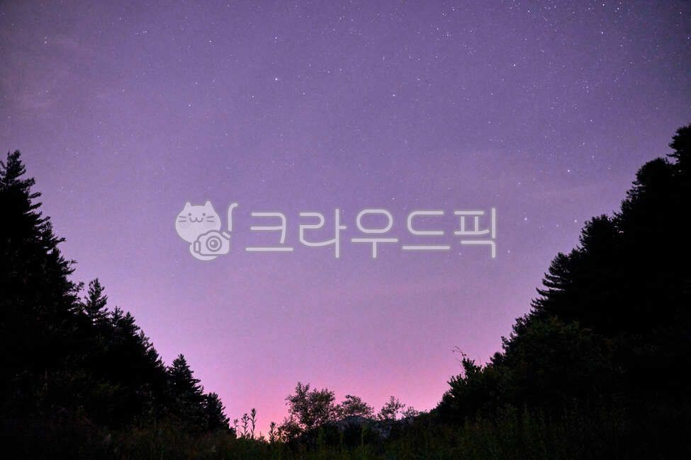 starry sky,milky way,starrysky,star,nature,night,strar,starlight,purple night sky,pink sky,naked dog,pinksky,trees,mountain,outdoors,night sky,galaxy