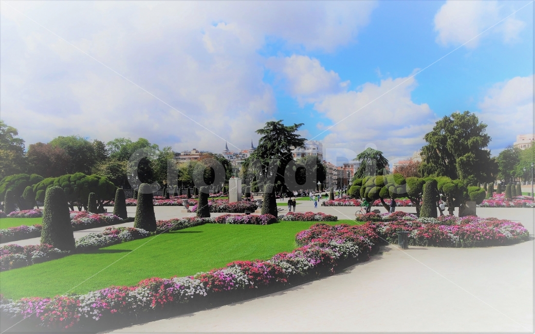 마드리드,공원,여행,travel,spain,flower,park,garden,정원,꽃,나무,하늘,sky,nature,도시,풍경,city,landscape,해외,외국,세계,foreign,oversea,world,plant,식물,grass,잔디,outdoors,옥외