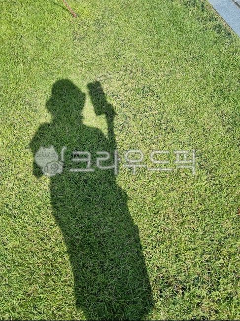 그림자,잔디,사람,여자,인간