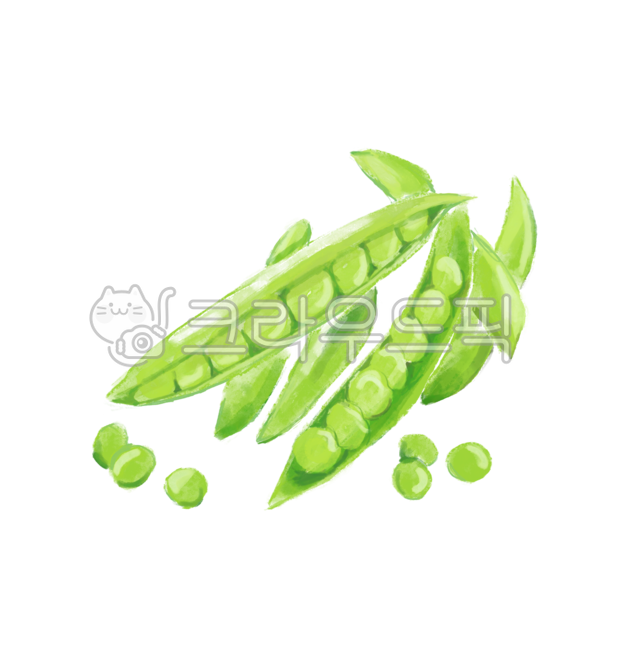 완두콩, 콩png, 콩스티커, png, 누끼, 사진,이미지,일러스트,캘리그라피 - 그림그리는작가