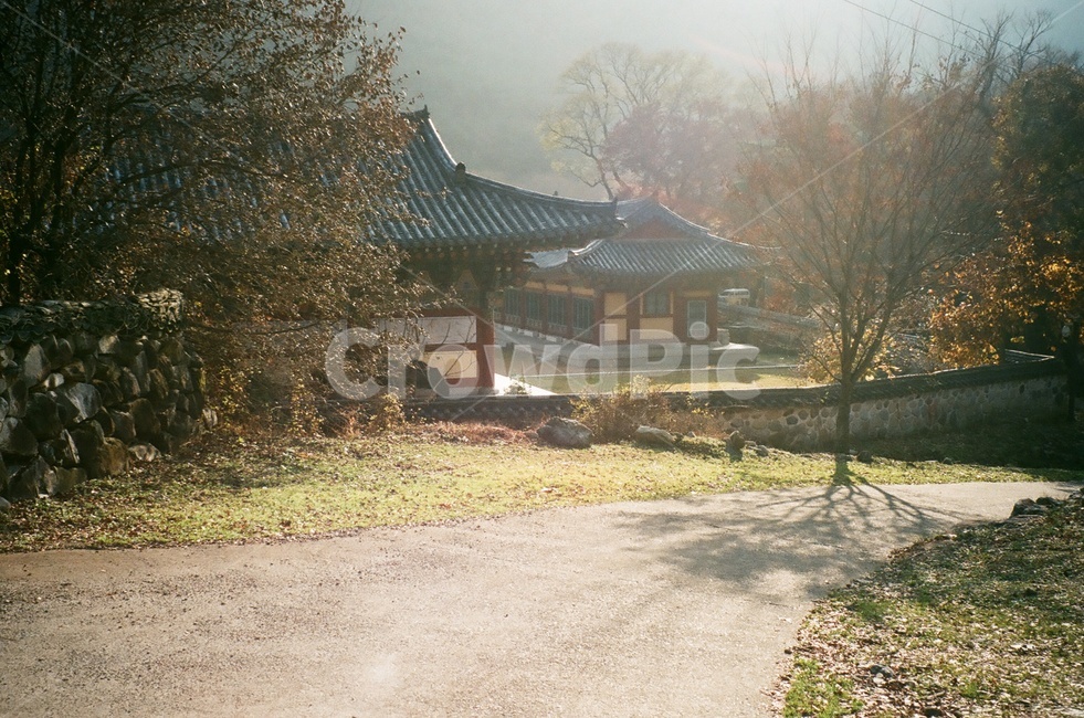 표충사,가을,한옥,필름카메라,필름사진,가을,계절,fall,autumn,season,한국전통,한국문화,korean traditional,korean culture,건축물,건물외관,exterior,building,structure,architecture,construction