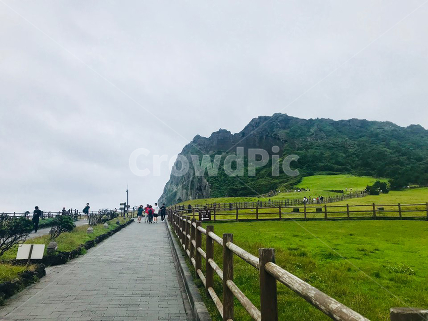 성산일출봉,경치,풍경,나무,풀,초록색,제주도,여행,휴가,jeju,여름,따듯한