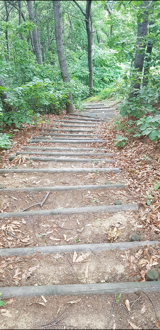 계단,등산,산,힘듬,길