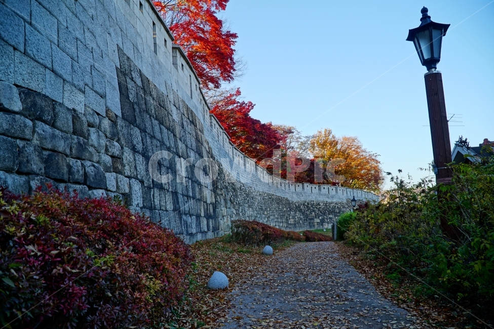 서울,코리아,한국,성벽,성곽,한양도성,seoul,korea,캐슬,성,castle,가을,계절,autumn,fall,season,자연,nature,식물,나무,풍경,plants,tree,landscape,하늘,sky,blue,벤치,의자,낙엽,공원,산책,등불,전깃불,가로등,문화재,유적지,한국전통,한국문화,건축,토목,단풍,조선시대,조선왕조,히스토리,history,역사,한국풍경,한국자연,한국적인,가을,계절,fall,autumn,season,한국전통,한국문화,korean traditional,korean culture,건축물,건물외관,exterior,building,structure,architecture,construction,leaf,잎,plant