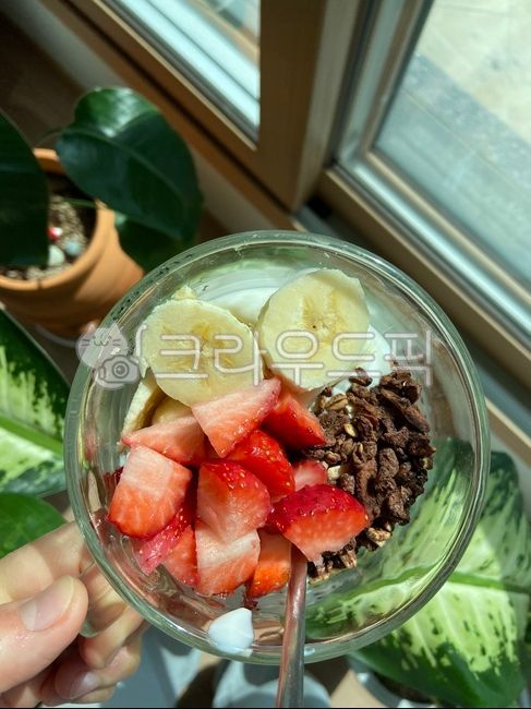 yogurt,요거트,요거트볼,딸기,과일,음식