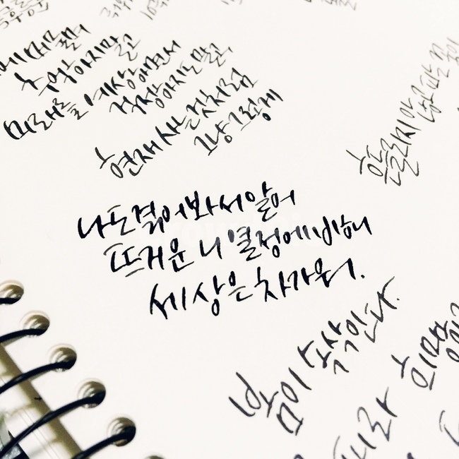손글씨,캘리그라피,캘리,글씨,명언,text,예쁜글씨
