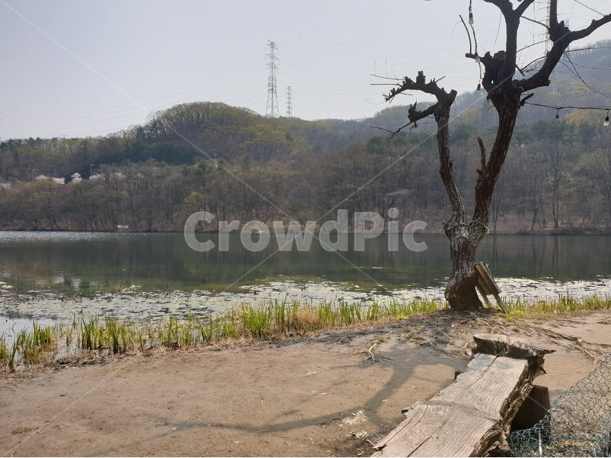 나무벤치,풍경,물,nature,자연,water,outdoors,봄,spring