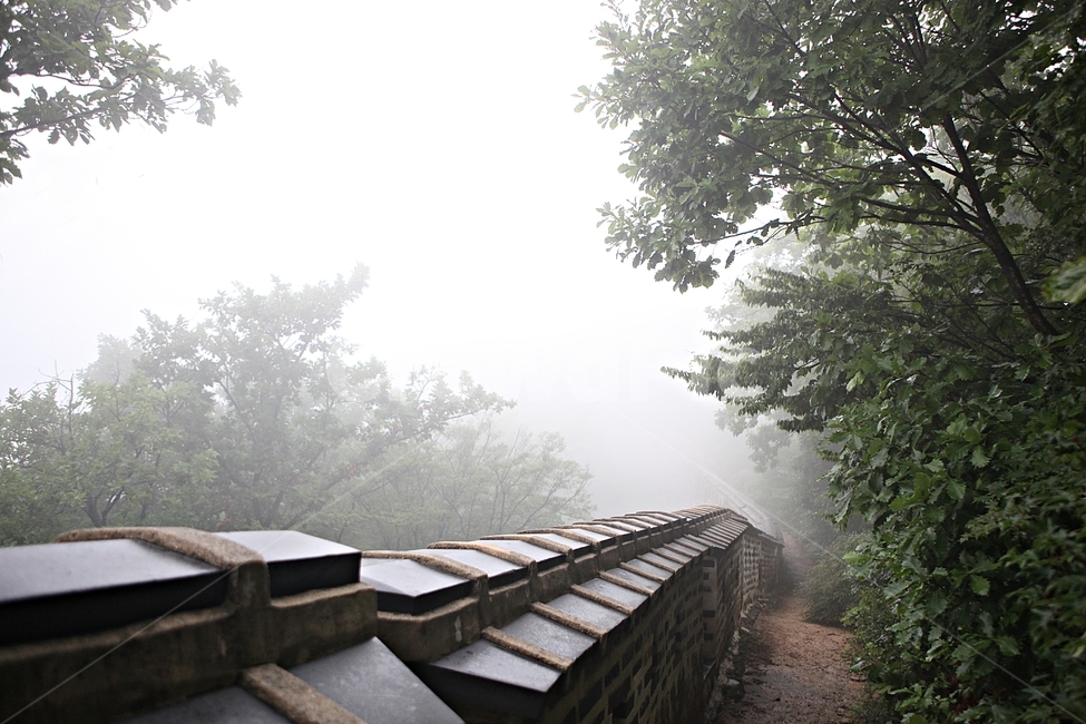 남한산성,성곽,둘레길,길,숲,숲길,안개,돌담,담,성