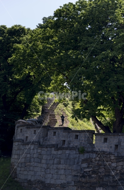산책,산성,자연,햇살,등산,둘레길,강화도,자연유산,한국전통,한국문화,korean traditional,korean culture,건축물,건물외관,exterior,building,structure,architecture,construction