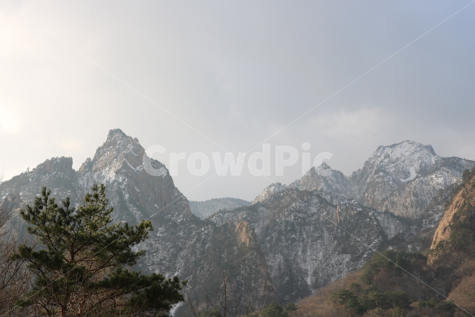 자연풍경,설악산,봄설경,감성,눈,봄,풍경,자연,식물,산,나무,국립공원,자연,풍경,nature,landscape,mountain range,산맥,outdoors,옥외,mountain,plant,tree,fir,전나무
