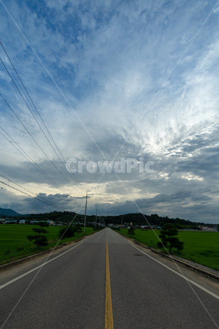 road,도로,asphalt,아스팔트,하늘,전깃줄,전봇대,농촌,논,초록색,초록,파랑,파랑색,blue,green,중앙선