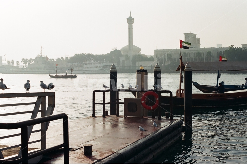 강,갈매기,외국,감성,gull,seagull,dubai,abudabi,배,해외,세계,세계풍경,자연풍경,자연,도시,감정,landscape,world,feeling,emotion,도시,풍경,city,landscape,해외,외국,세계,foreign,oversea,world,세계도시풍경,해외도시풍경,외국도시풍경,world cityscape,동물,animal,조류,새,birds,감성,sensible,feeling,교통,교통수단,traffic,transportation,vehicle,차량,watercraft,선박,bird,water,물
