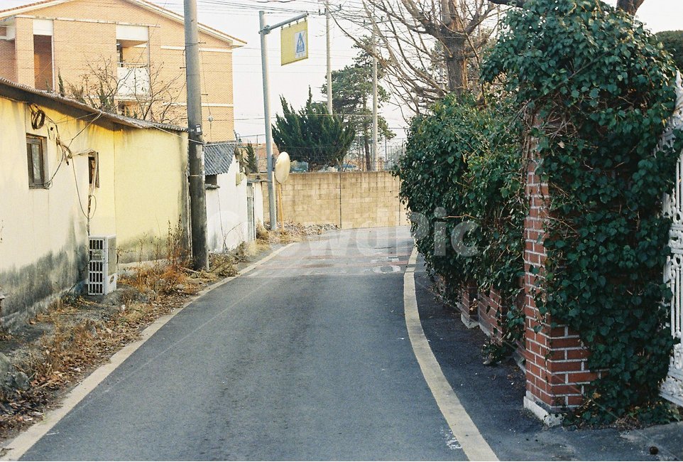 길,road,담장,담벼락,시골길,골목길,alley,asphalt,아스팔트