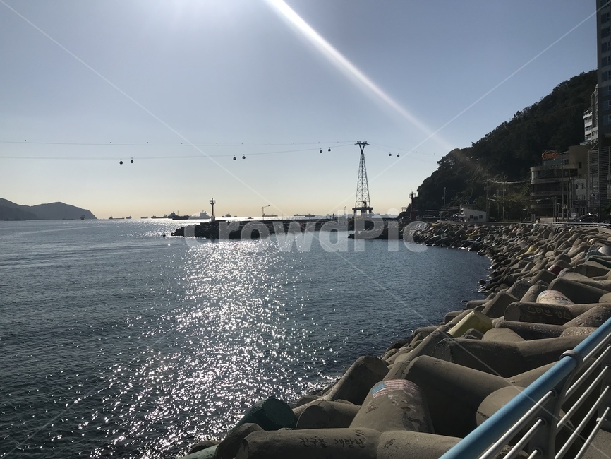 바다,아침,풍경,다리,케이블카