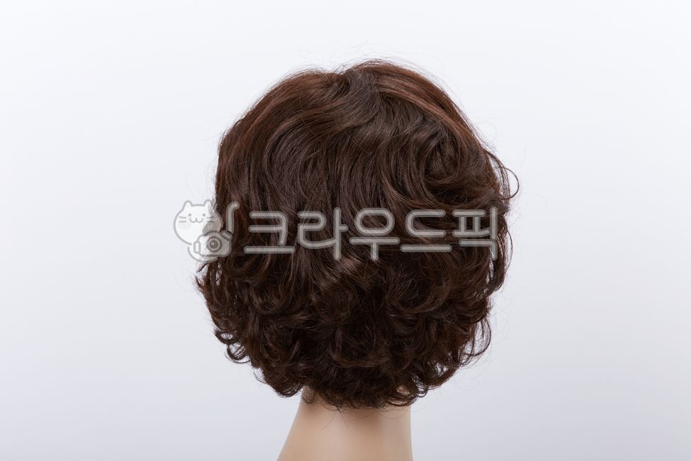 close up,The back,mannequin,still life,white background,head,hair,wig,hair style,style