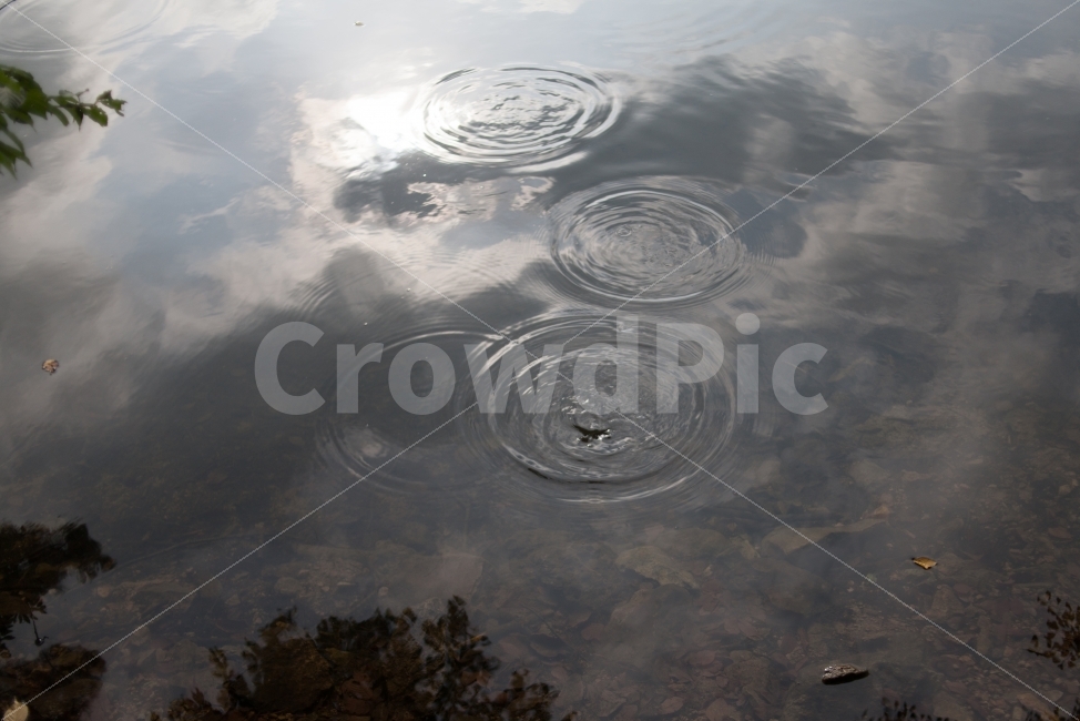 호수,water,waterdrop,물제비,lake,reflex,cloud,sun,sunshine,비,비오는날,rain,rainy