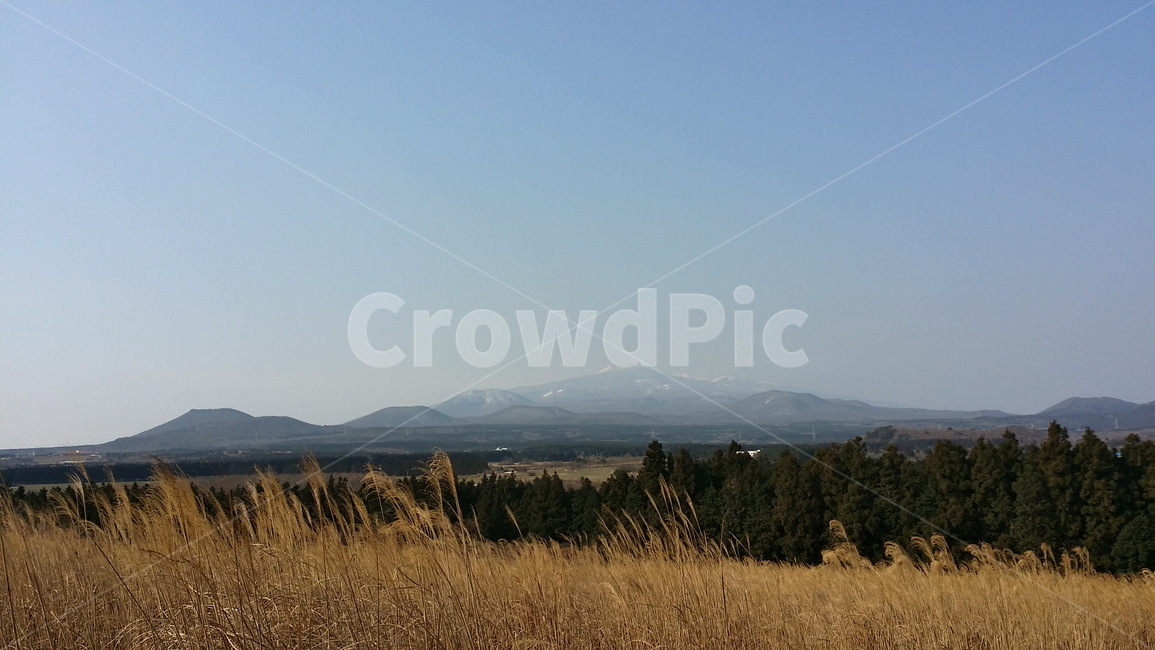 억새,하늘,제주도,산,한라산